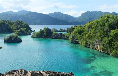 Sulawesi.