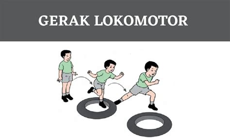 lokomotor