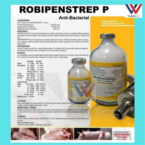 robipenstrep