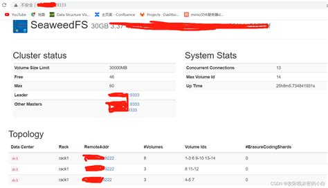 seaweedfs.