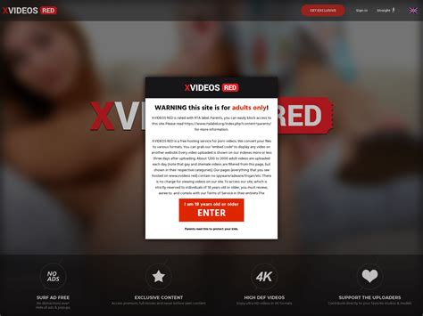xbideo55